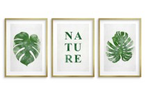 Minimalistyczne, botaniczne plakaty Nature: liście monstery 23182 Naklejkomania - zdjecie 3 - miniatura