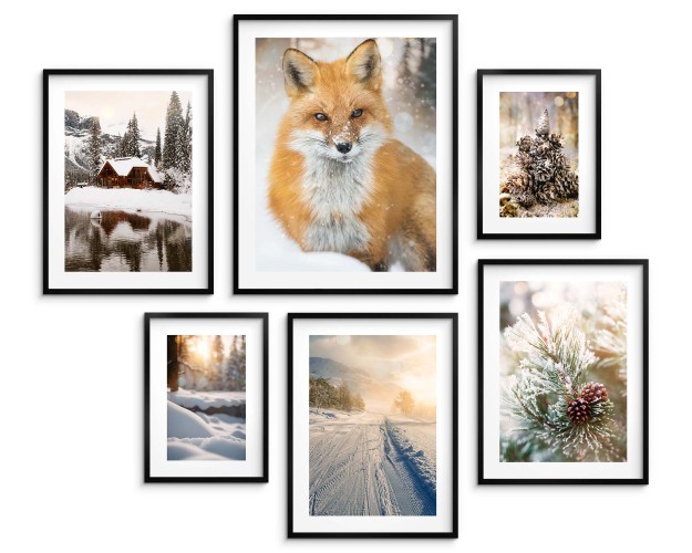 Zimowe plakaty Lis, śnieżne widoki i szyszki 23193