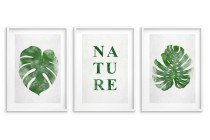 Minimalistyczne, botaniczne plakaty Nature: liście monstery 23182 Naklejkomania - zdjecie 2 - miniatura