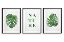 Minimalistyczne, botaniczne plakaty Nature: liście monstery 23182 Naklejkomania - zdjecie 1 - miniatura