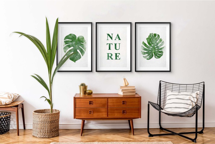 Minimalistyczne, botaniczne plakaty Nature: liście monstery 23182 - zdjęcie 5