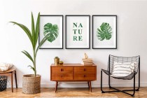 Minimalistyczne, botaniczne plakaty Nature: liście monstery 23182 Naklejkomania - zdjecie 5 - miniatura