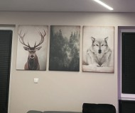 Opinia od Marcin Grabski