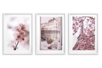 Wiosenne plakaty na ścianę Róż, kwiaty i Francja 23203 Naklejkomania - zdjecie 3 - miniatura
