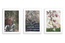 Trzy wiosenne plakaty - Różowe kwiaty wśród zieleni 23206 Naklejkomania - zdjecie 5 - miniatura