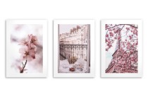 Wiosenne plakaty na ścianę Róż, kwiaty i Francja 23203 Naklejkomania - zdjecie 5 - miniatura