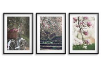 Trzy wiosenne plakaty - Różowe kwiaty wśród zieleni 23206 Naklejkomania - zdjecie 1 - miniatura