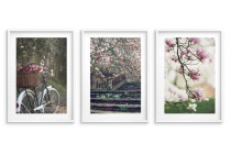 Trzy wiosenne plakaty - Różowe kwiaty wśród zieleni 23206 Naklejkomania - zdjecie 3 - miniatura