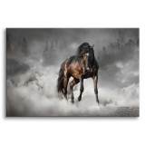 Obraz Brązowy koń w dymie 64625 Naklejkomania - zdjecie 1 - miniatura