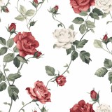 Klasyczna fototapeta Róże na białym tle 75101 Naklejkomania - zdjecie 2 - miniatura