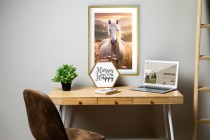 Dekoracyjny plakat Koń na łące 24355 Naklejkomania - zdjecie 6 - miniatura