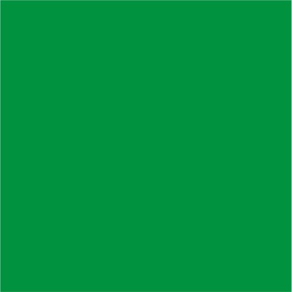 Zielony 61