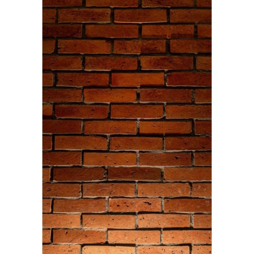 Stara Cegła LOFT RED - zdjęcie 2