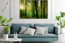 Obraz Słońce w lesie - relaksująca zieleń 64617 Naklejkomania - zdjecie 2 - miniatura