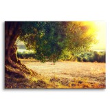 Słoneczny obraz Polana z drzewem 64634 Naklejkomania - zdjecie 1 - miniatura