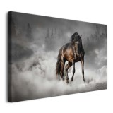 Obraz Brązowy koń w dymie 64625 Naklejkomania - zdjecie 3 - miniatura