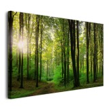 Obraz Słońce w lesie - relaksująca zieleń 64617 Naklejkomania - zdjecie 3 - miniatura