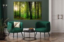Obraz Słońce w lesie - relaksująca zieleń 64617 Naklejkomania - zdjecie 7 - miniatura