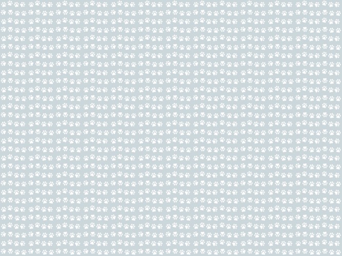 Delikatna fototapeta dziecięca-  Białe Łapki na pastelowym tle, fototapety dla dzieci z motywem łap 81195 - zdjęcie 4