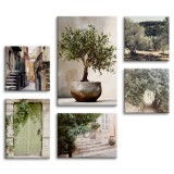 Obrazy śródziemnomorski krajobraz- oliwny gaj, Włoskie Uliczki 20848 Naklejkomania - zdjecie 1 - miniatura