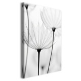 Minimalistyczny obraz na płótnie z motywem roślinnym | Czarno-biała dekoracja ścienna 20863 Naklejkomania - zdjecie 2 - miniatura