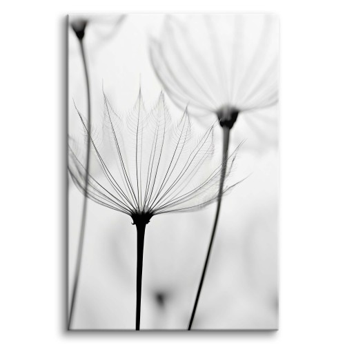 Minimalistyczny obraz na płótnie z motywem roślinnym | Czarno-biała dekoracja ścienna 20863 Naklejkomania - zdjecie 1
