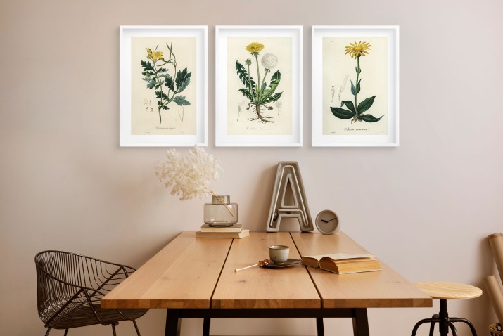 Botaniczna Kolekcja Vintage - Plakat z Roślinami | Ilustracje roślin leczniczych w stylu Retro 23245 - zdjęcie 7