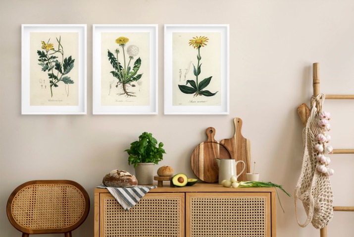 Botaniczna Kolekcja Vintage - Plakat z Roślinami | Ilustracje roślin leczniczych w stylu Retro 23245 - zdjęcie 5