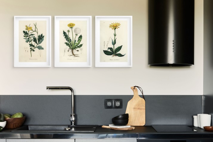 Botaniczna Kolekcja Vintage - Plakat z Roślinami | Ilustracje roślin leczniczych w stylu Retro 23245 - zdjęcie 6