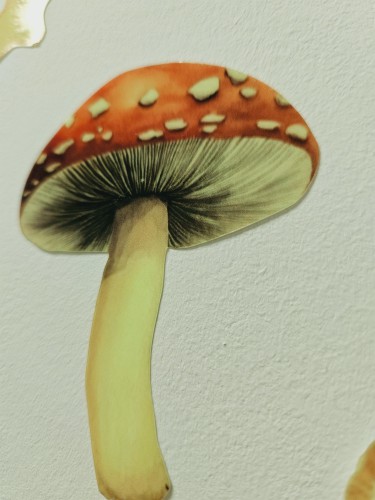 Naklejki dla dzieci świecące w ciemności | Naklejki fluorescencyjne na ścianę, meble | Leśne zwierzątka 22087 - zdjęcie 5