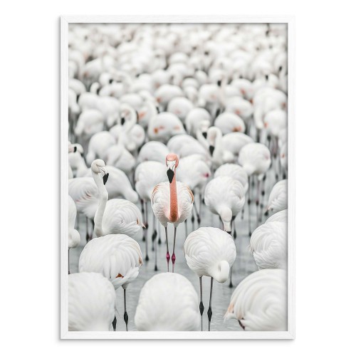 Plakat z Flamingami | Plakat z różowym akcentem- stado Flamingów | Fotografia, zdjęcie egzotycznych ptaków 81329 - zdjęcie 3