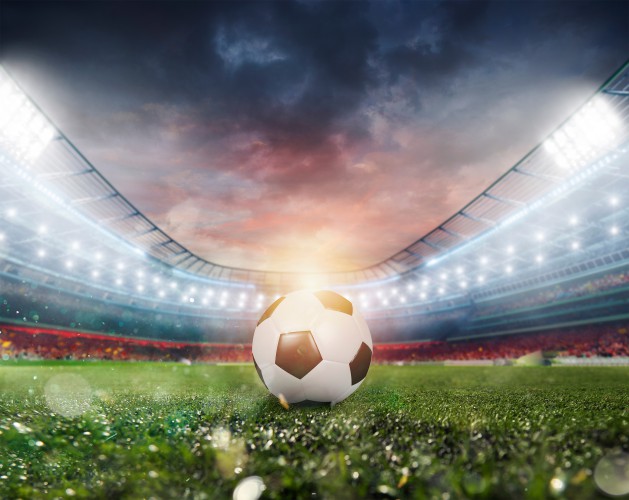 Fototapeta na ścianę piłka na stadionowej murawie 64184 - zdjęcie 2