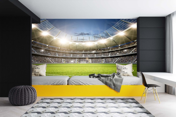 Fototapeta Neutralna linia środkowa stadionu 81426 - zdjęcie 2