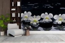 Fototapeta cztery białe orchidee z kamieniami i mokrym tłem 81415 Naklejkomania - zdjecie 1 - miniatura