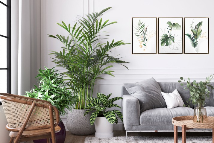 Obrazy w Ramie American Box | Tryptyk na płótnie – Zielone Liście Monstera Boho  | Nowoczesna dekoracja na ścianę R20124 - zdjęcie 9