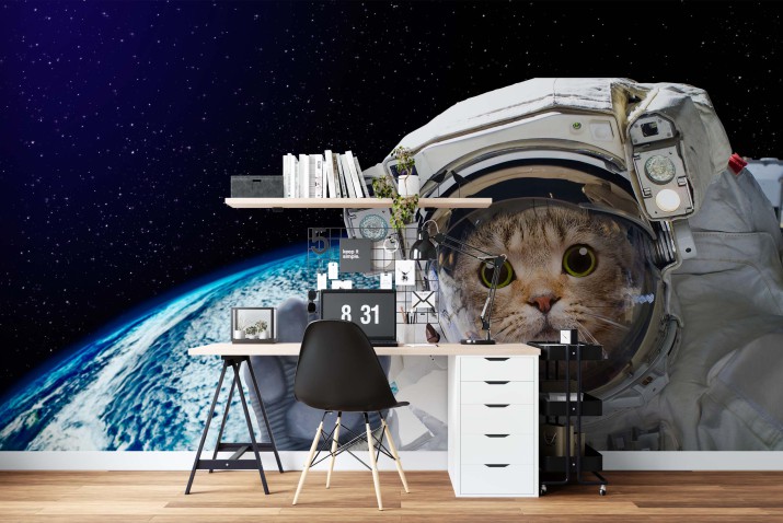 Fototapeta Kot astronauta w kosmosie na tle globu. Elementy tego obrazu dostarczone przez NASA 81411