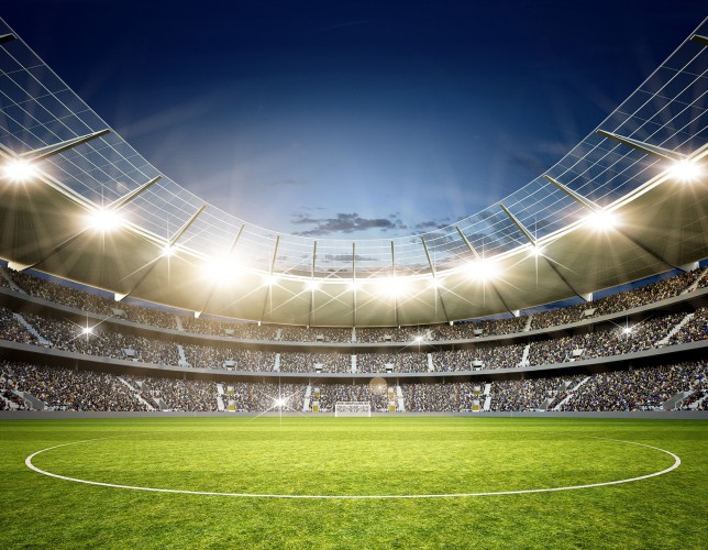 Fototapeta Neutralna linia środkowa stadionu 81426 - zdjęcie 1