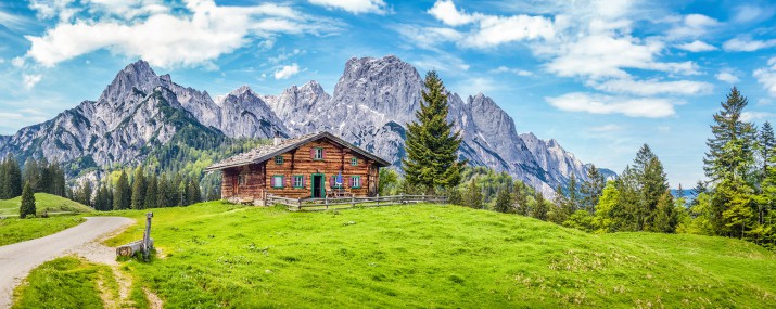 fototapeta Fototapeta Idylliczny krajobraz w Alpach z górskim schroniskiem i zielonymi łąkami 81446 - zdjęcie 2