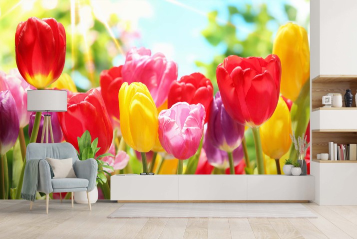 Fototapeta Świeże tulipany w ciepłym świetle słonecznym 81419