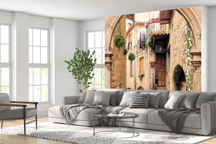 Fototapeta Stary łuk z otwartymi drzwiami. Flovers i zabytkowy widok na ulicę 81476