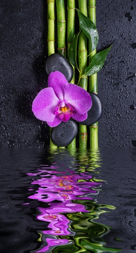 Fototapeta Kamienie, kwiat orchidei i bambus odbite w wodzie 81423 - zdjęcie 2