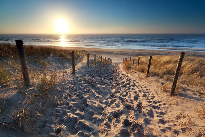 Fototapeta słońce nad ścieżką do plaży na Morzu Północnym 81452 - zdjęcie 2