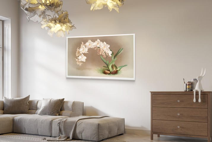 Ilustracja Kwiatów Orchidei Fredericka Sandera z Kolekcji &amp;amp;quot;Reichenbachia Orchids 3&amp;amp;quot; - Reprodukcja na Płótnie - zdjęcie 5