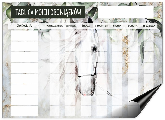 Tablica motywacyjna dla dzieci Magnetyczna tablica z obowiązkami 4623 - zdjęcie 7