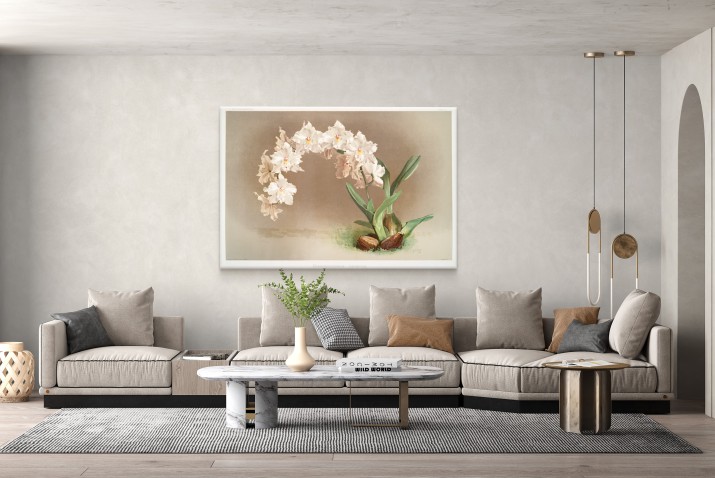 Ilustracja Kwiatów Orchidei Fredericka Sandera z Kolekcji &amp;amp;quot;Reichenbachia Orchids 3&amp;amp;quot; - Reprodukcja na Płótnie - zdjęcie 4