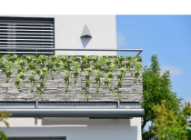 Dekoracyjna osłona na balkon- zwisający bluszcz | Ochronna mata na barierki, baner na taras 81777 Naklejkomania - zdjecie 1 - miniatura