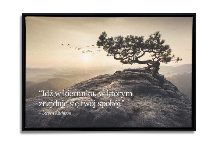 Obraz na płótnie w ramie American Box | Dekoracja z inspirującym cytatem Stevena Aitchisona R92108 - zdjęcie 3