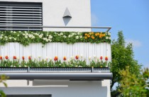 Dekoracja balkonu- ozdobna osłona na barierkę, maskownica balustrady- wiosenne kwiaty 81790 Naklejkomania - zdjecie 1 - miniatura