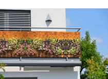 Ochronna Mata na balkon, Parawan na balustradę- Osłona tarasowa z grafiką  81755 Naklejkomania - zdjecie 1 - miniatura