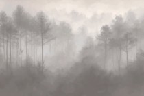 Szaro- beżowa Fototapeta Las we Mgle | Spokojna, minimalistyczna Fototapeta z widokiem na zamglony las 94146 Naklejkomania - zdjecie 2 - miniatura